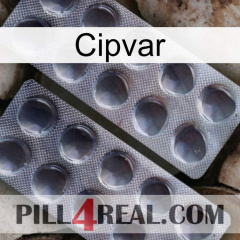 Cipvar 31